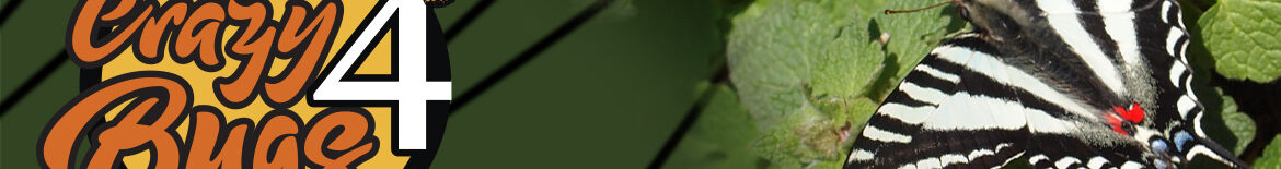 4 Slider Sample Image
